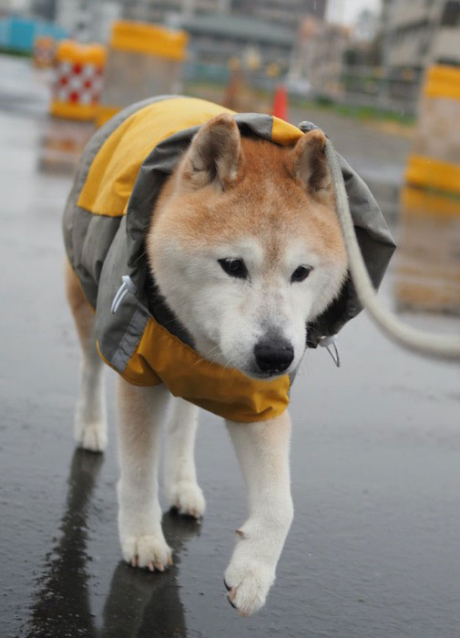 26日ブログ３