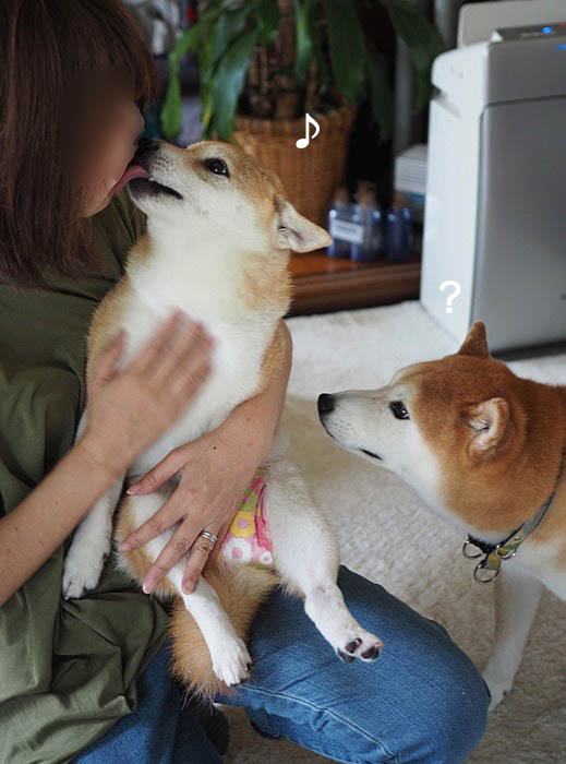 1日ブログ２