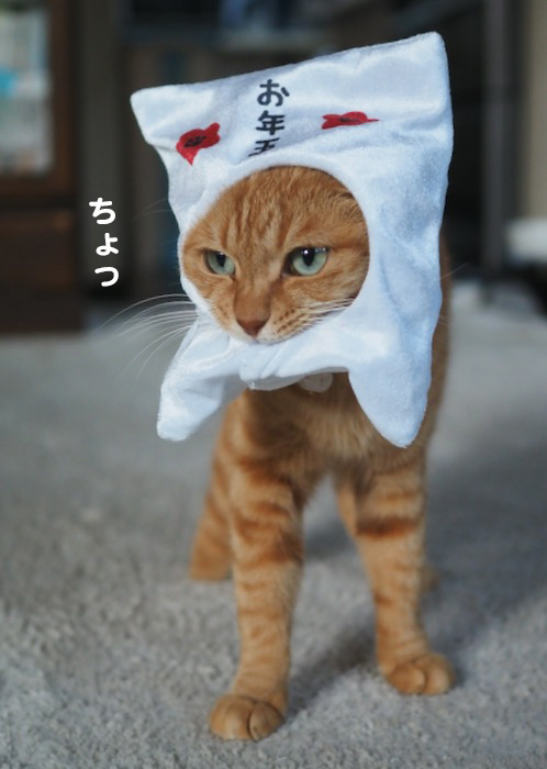 5日ブログ１