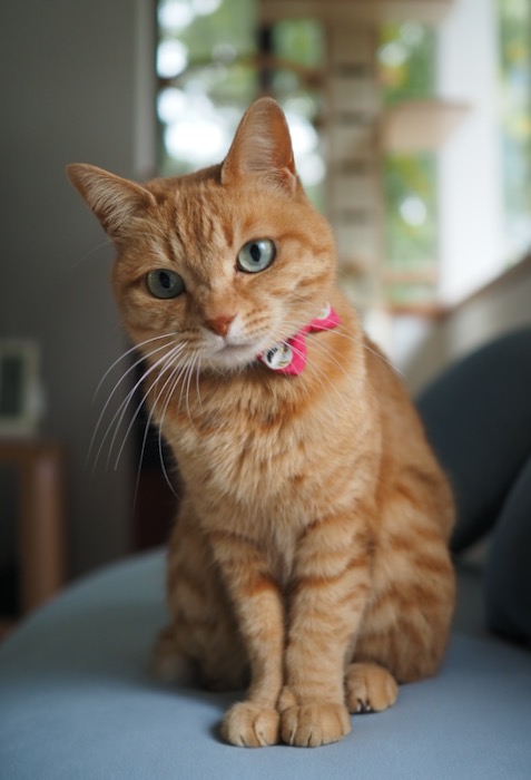 17日夕ブログ３