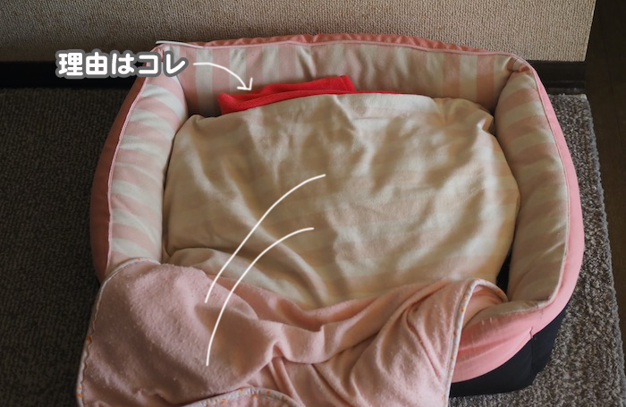16日夕ブログ４