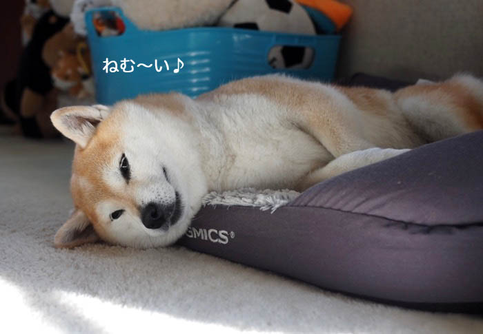 22日夜ブログ3