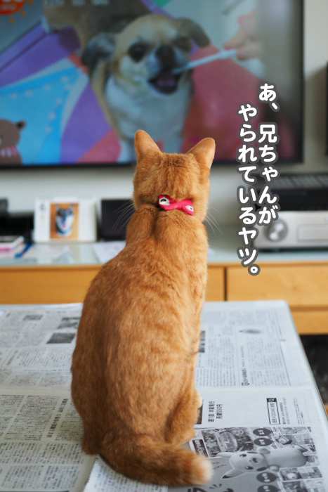 30日ブログ９