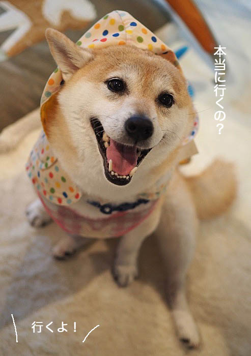29日ブログ３