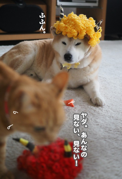 3日ブログ６