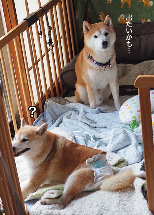 29日夜ブログ６