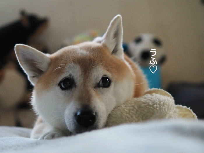 12日ブログ８