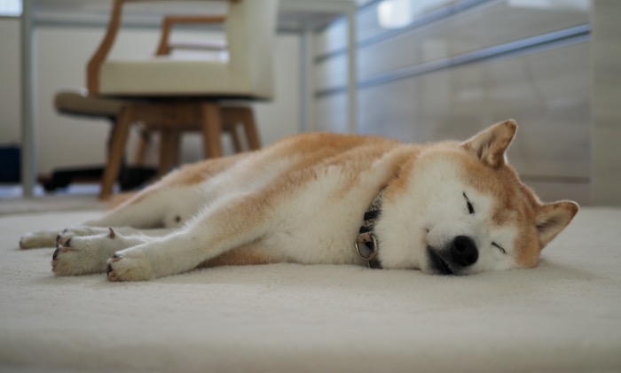 5日午前ブログ２