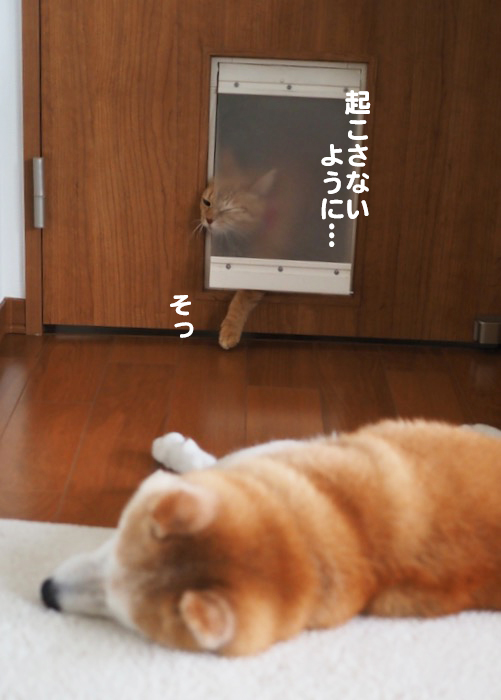 24日夕ブログ６