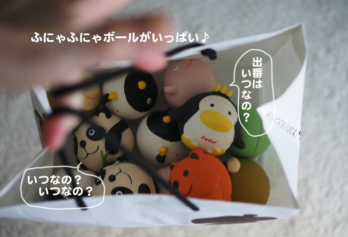 29日夕ブログ２