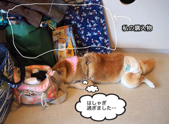 6日ブログ１３
