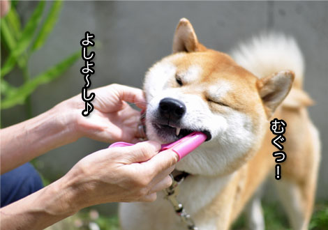 28日ブログ14.jpg