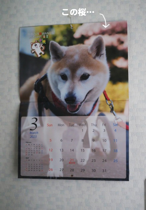 ５日夕ブログ２