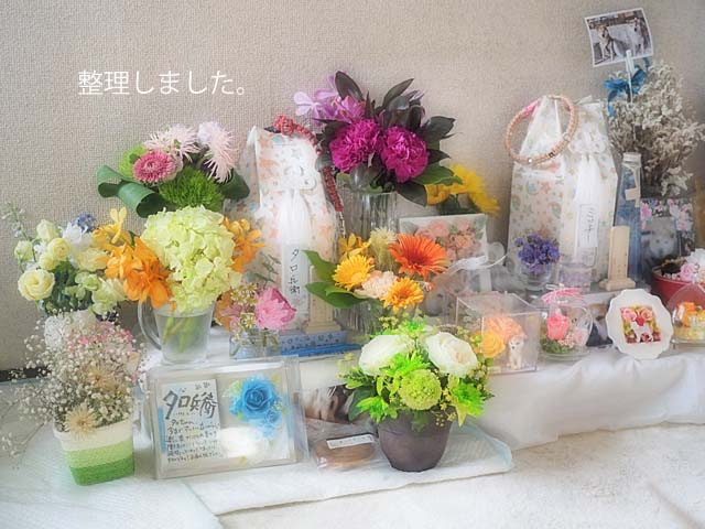 29日ブログ3