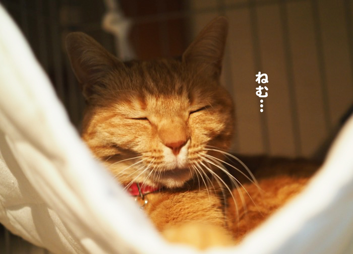 2日ブログ２