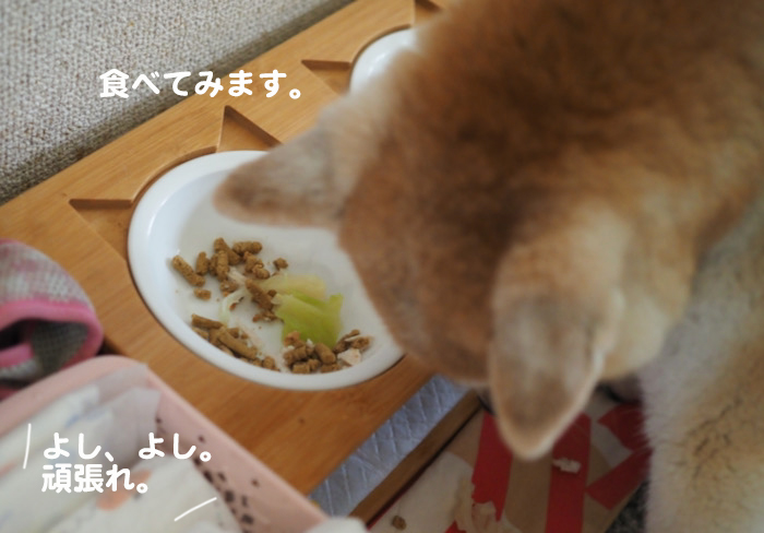 2日夕ブログ２