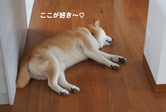 4日夕ブログ２