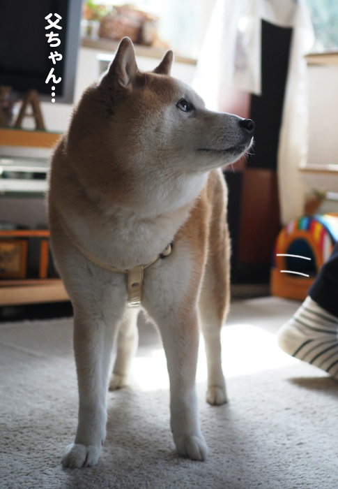 20日夕ブログ５