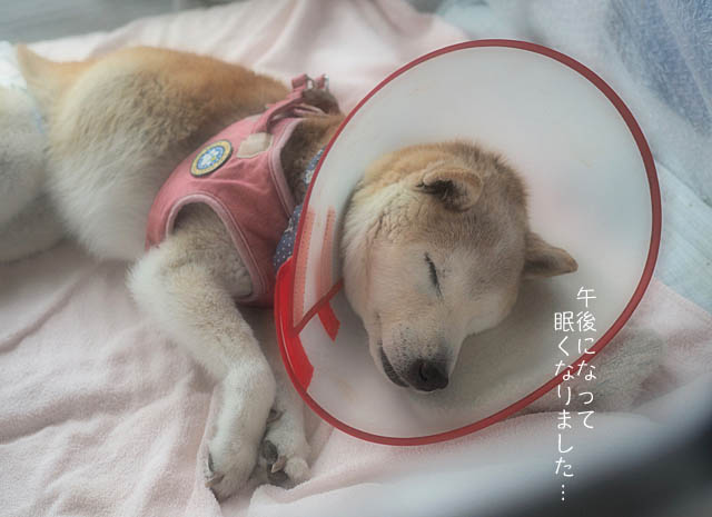 28日ブログ9