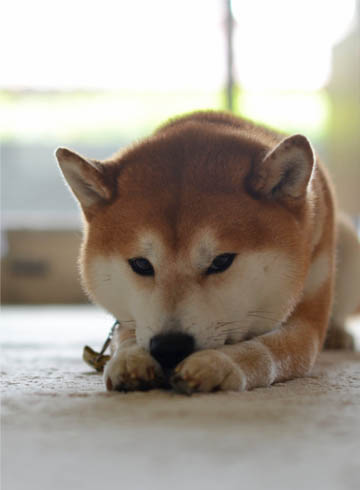 8日ブログ9.jpg