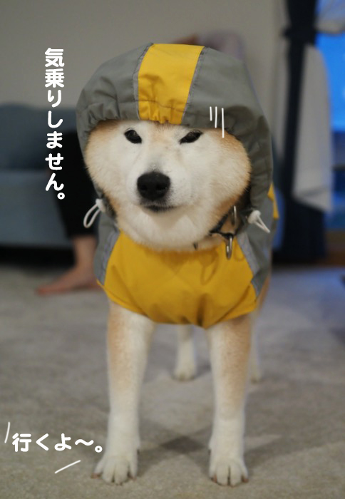 8日夕ブログ５
