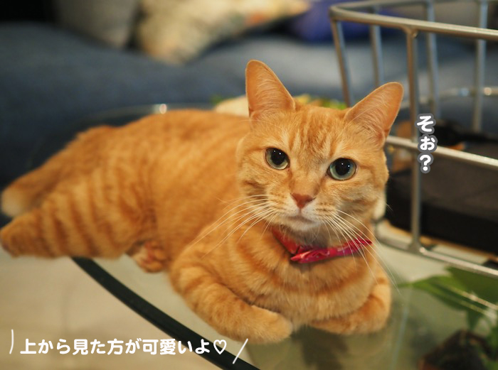 20日夕ブログ４
