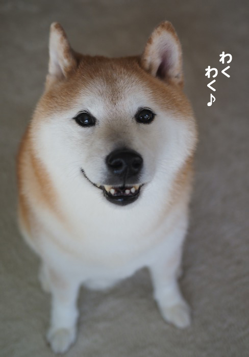17日ブログ２