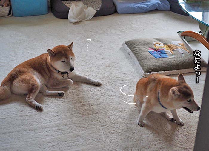 6日午後ブログ7