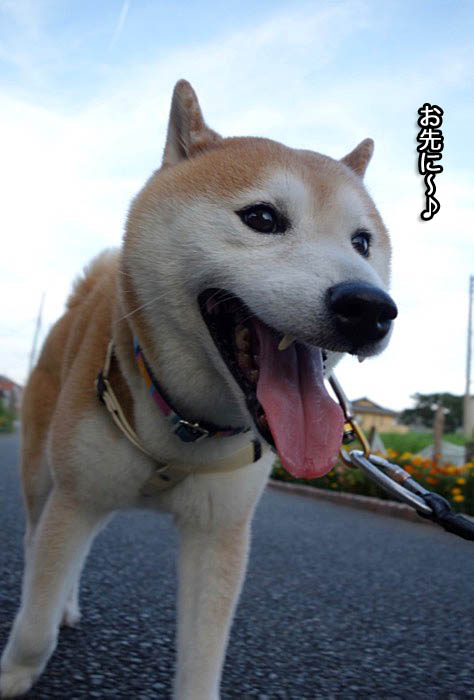 30日夜ブログ４