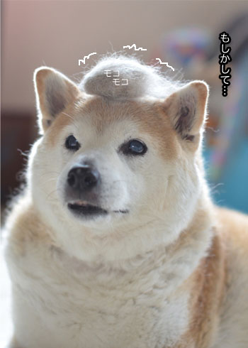 28日ブログ4.jpg