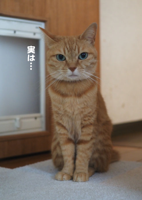 13日のブログ２