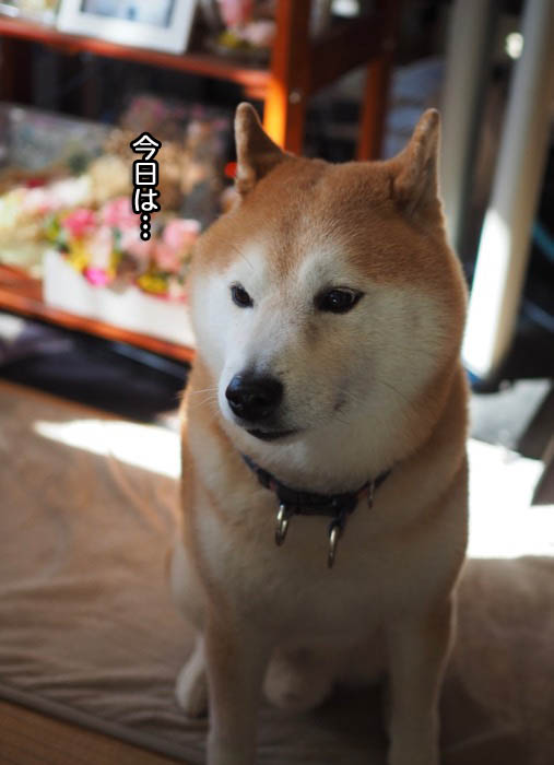 17日ブログ７