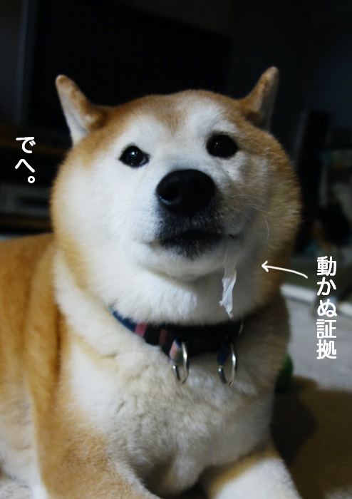 16日夜ブログ３