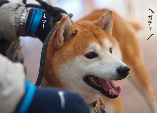 28日ブログ2.jpg