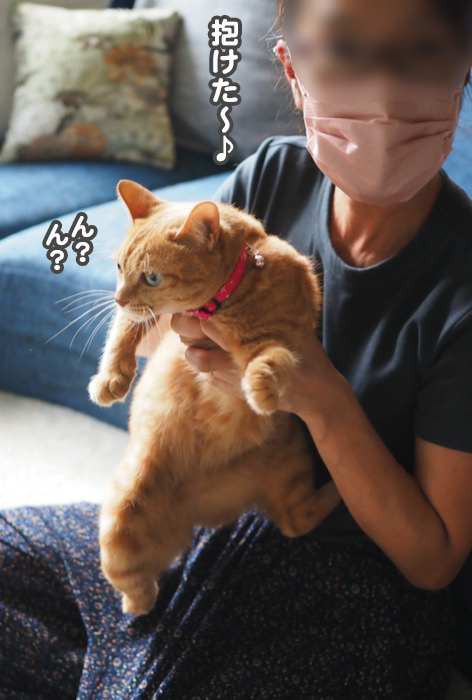 3日夕ブログ６