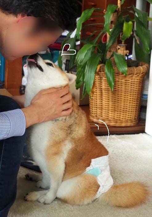 9日ブログ２