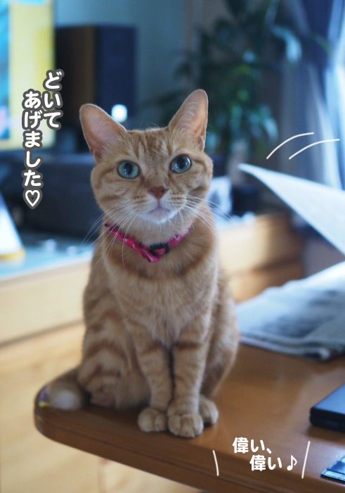 30日ブログ４