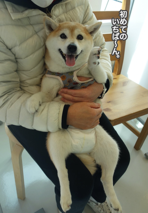 23日夜ブログ３