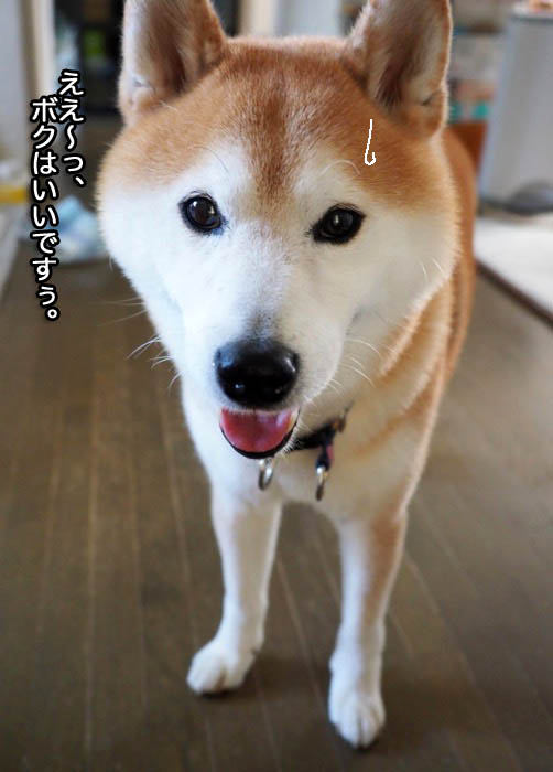13日夜ブログ３