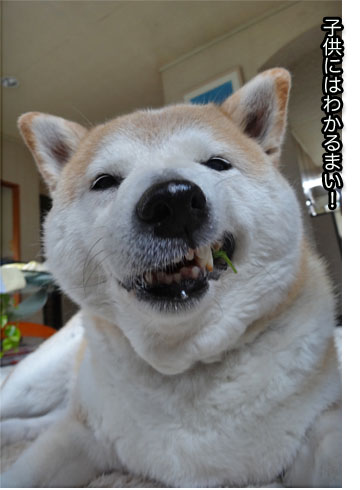 26日ブログ10.jpg