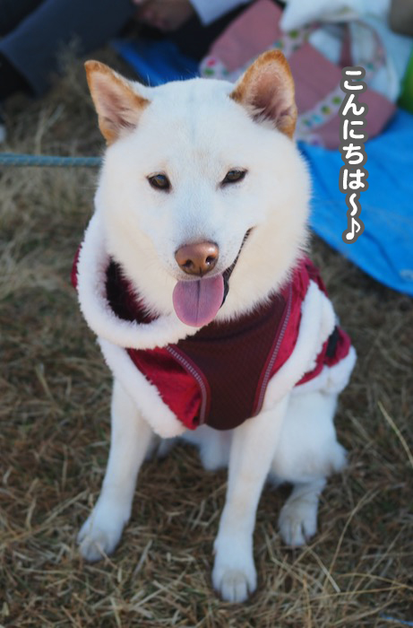 10日夕ブログ１０