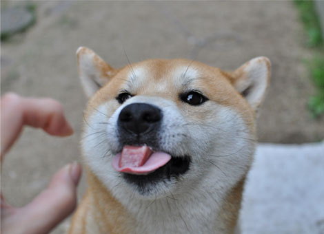 26日ブログ19.jpg