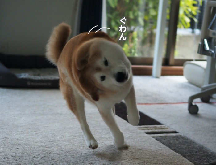 5日夕ブログ５