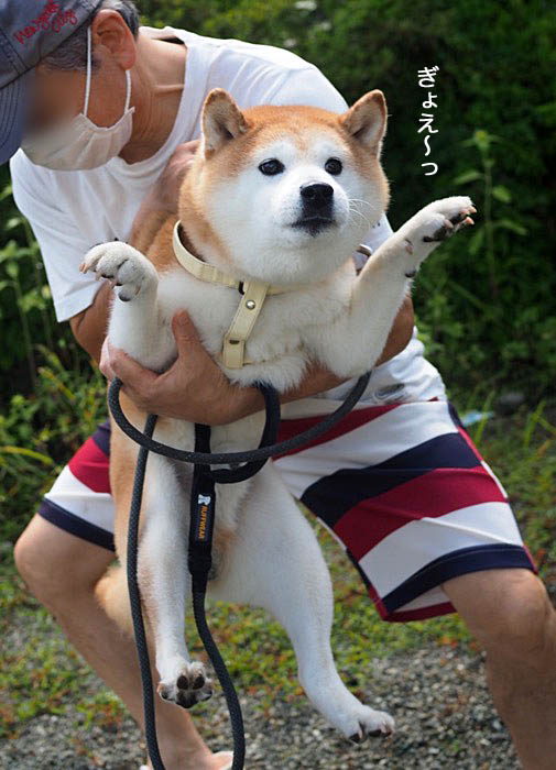 4日夕ブログ６