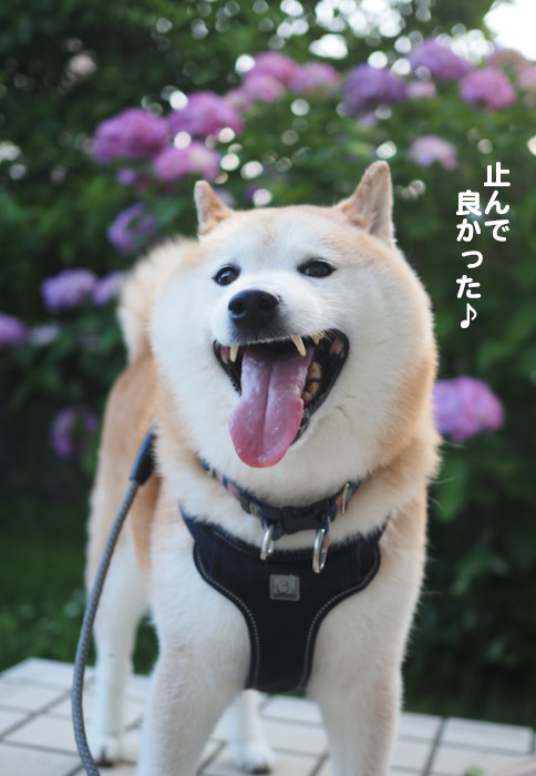 3日夕ブログ４