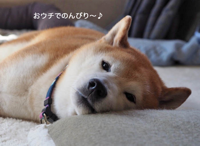 26日ブログ８