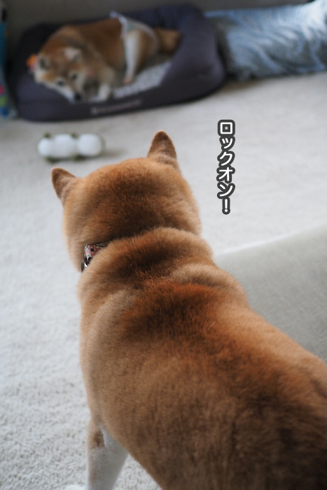 6日夕ブログ３