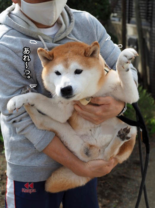 30日ブログ９