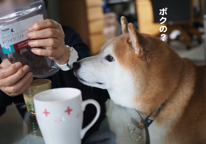 26日ブログ３