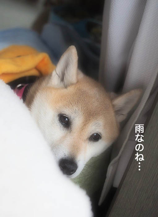 31日ブログ3